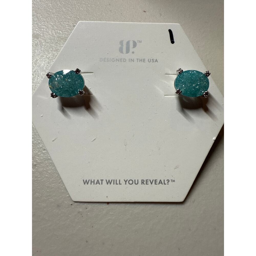 BP OG earrings Painted Desert Skies